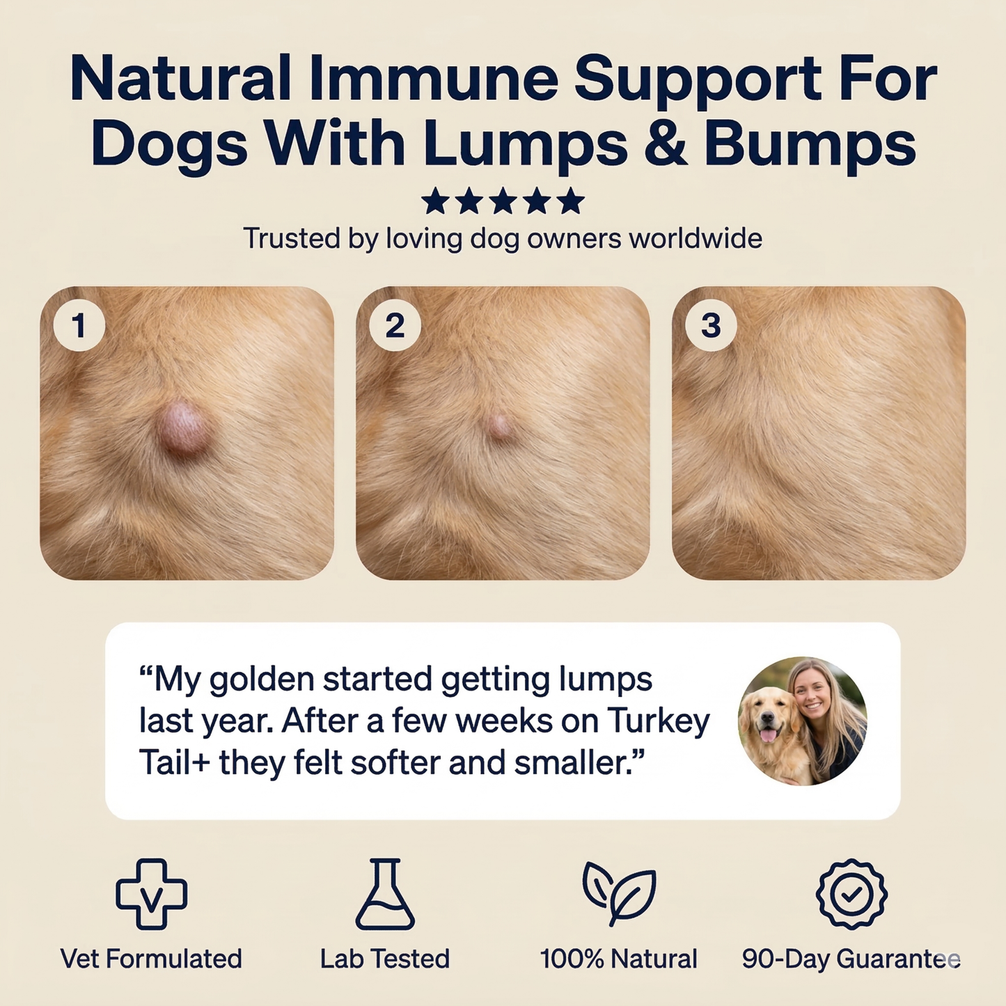 Turkey Tail+ Defense System | 9-Mushroom Immune Support