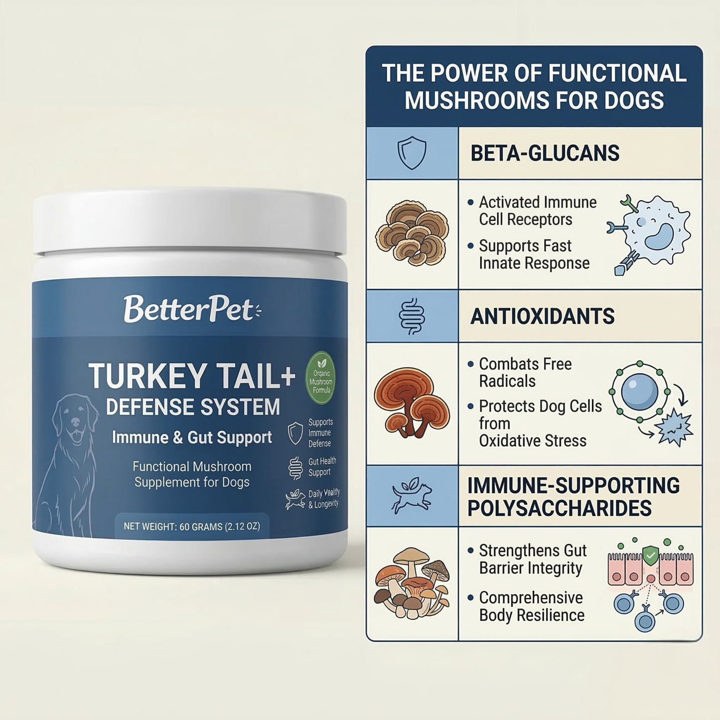 Turkey Tail+ Defense System | 9-Mushroom Immune Support