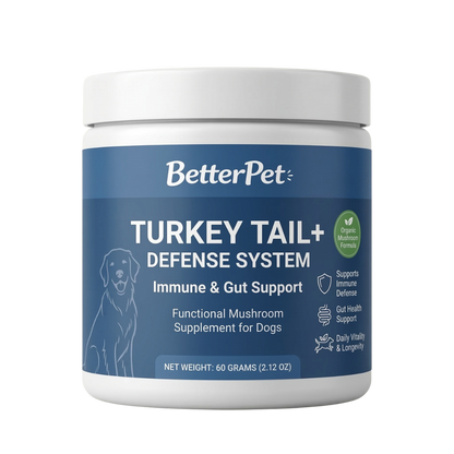 Turkey Tail+ Defense System | 9-Mushroom Immune Support