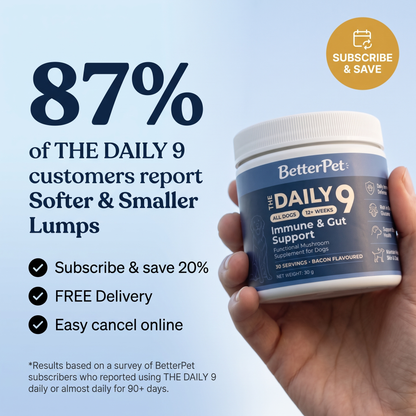 The Daily 9